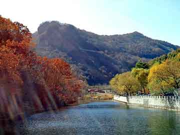 澳门天天开奖免费资料，山东冲孔板